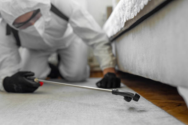 Professional Bed Bug Control technician working in Putnam County County, OH